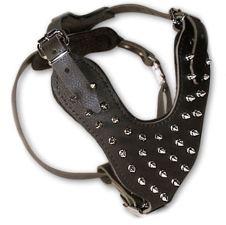 spiked dog harness