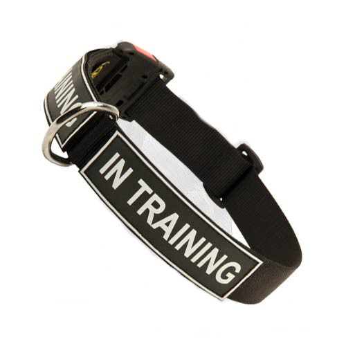 All Weather Nylon Dog Collar with Patches and Quick Release Buckle