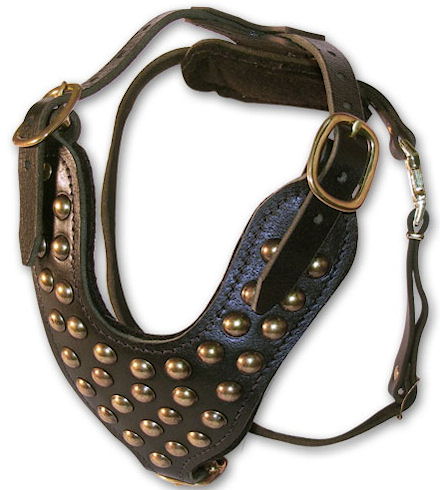 Studded Leather Dog Harness - Padded leather dog harness