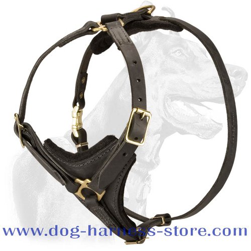 Leather Tracking Dog Harness for Prolonged Activities