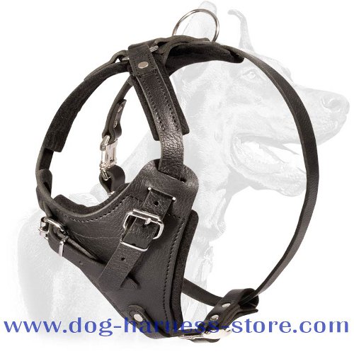Durable Leather Dog Harness with Wide Chest Plate