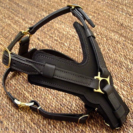 Padded Leather Dog Harness for Agitation Training