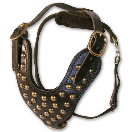 Large leather dog harness with studs for Large Dog Breeds