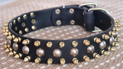 3 Rows brass Leather Spikes & Studded best Dog Collar - Click Image to Close