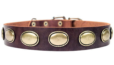 High Quality Leather Dog Collar for Dog