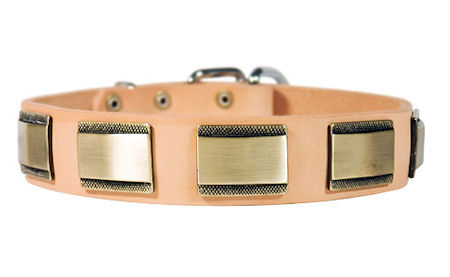 Designer Dog Collar for Large Dog Breed
