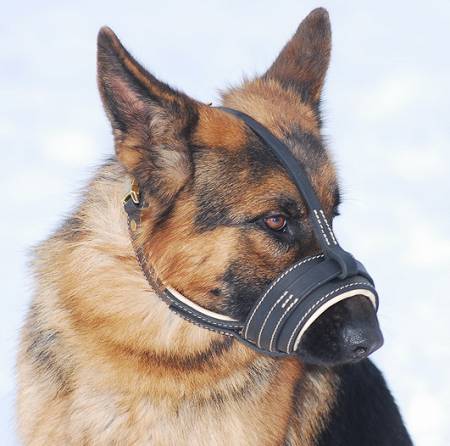 Royal Nappa Leather Dog Muzzle - product code:M88