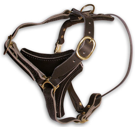 big dog leather harness