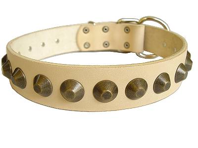 Gorgeous Wide Leather Dog Collar
