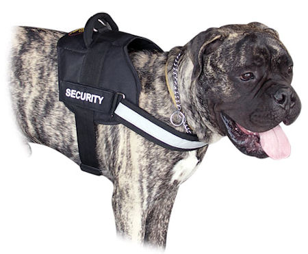 Big Nylon Reflective Dog harness with Handle for Bullmastiff - Click Image to Close