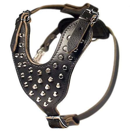 Studded Padded Leather Dog Harness with Peramyds for All Breeds