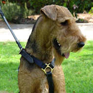 airedale terrier dog harness for walking