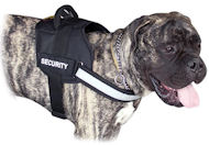 Big Nylon Reflective Dog harness with Handle for Bullmastiff