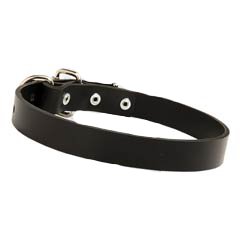 Simple design leather collar