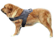 Nylon multi-purpose dog harness pulling- Spanish Mastiff