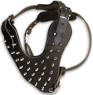 BUY Medium Top Black/Brown Spiked Leather Dog Harness